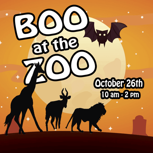 25+ Kid-Friendly Halloween Events in South Jersey (2024)